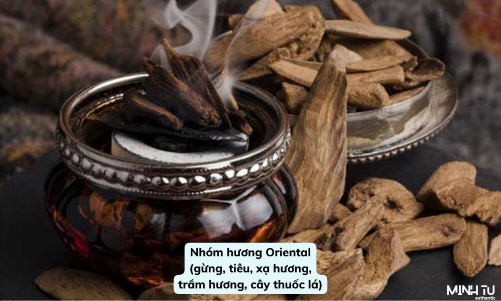 Nhóm hương Oriental | gừng, tiêu, xạ hương, trầm hương, cây thuốc lá